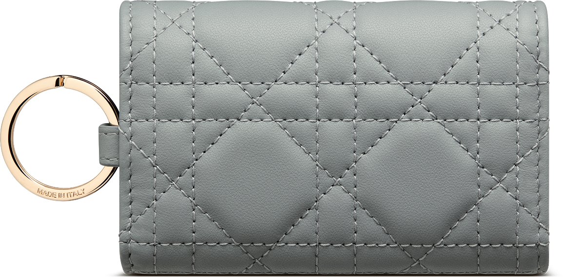 【日本限定】My Dior Aster キーケース