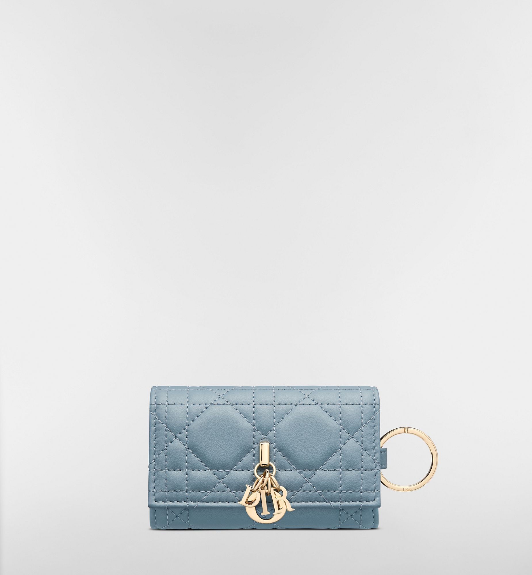 DIOR | 【日本限定】My Dior Aster キーケース カナージュ ラムスキン