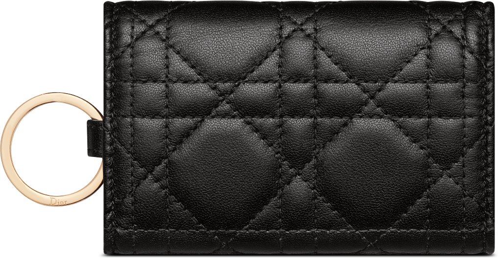 My Dior Aster Key Case Back view