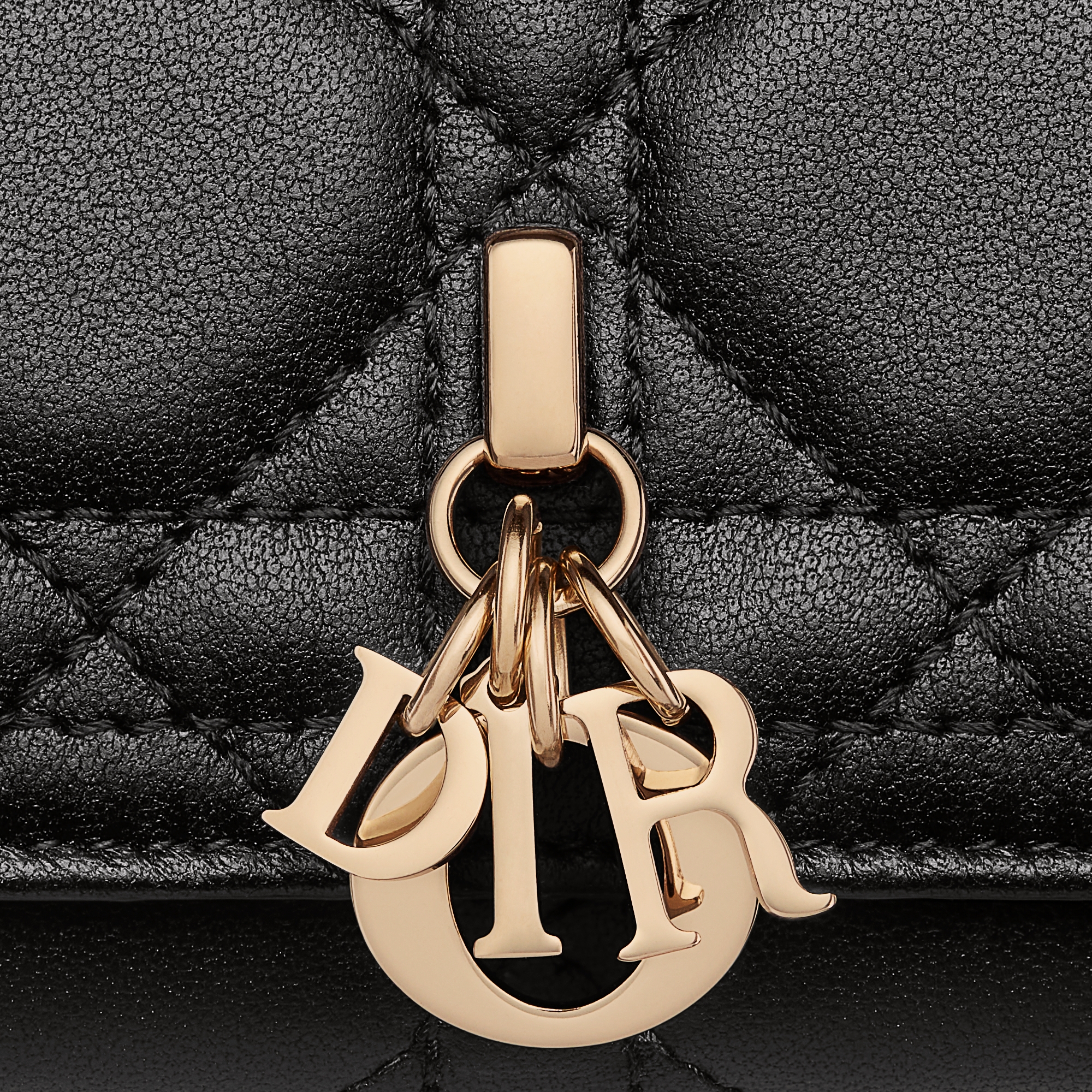 Dior Saddle Aster キーケース DIOR Saddle Aster キーケース DIOR】【日本限定】My Dior Aster