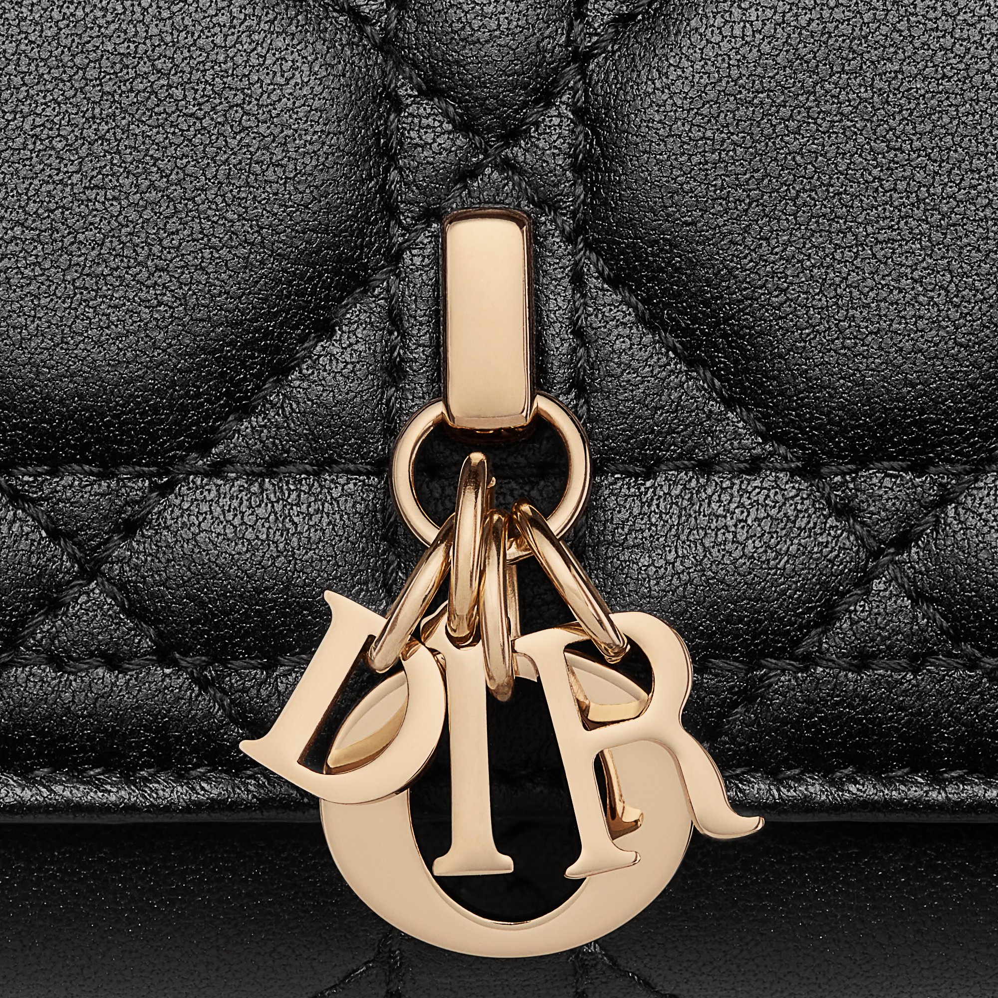 My Dior Aster Key Case Detailed view