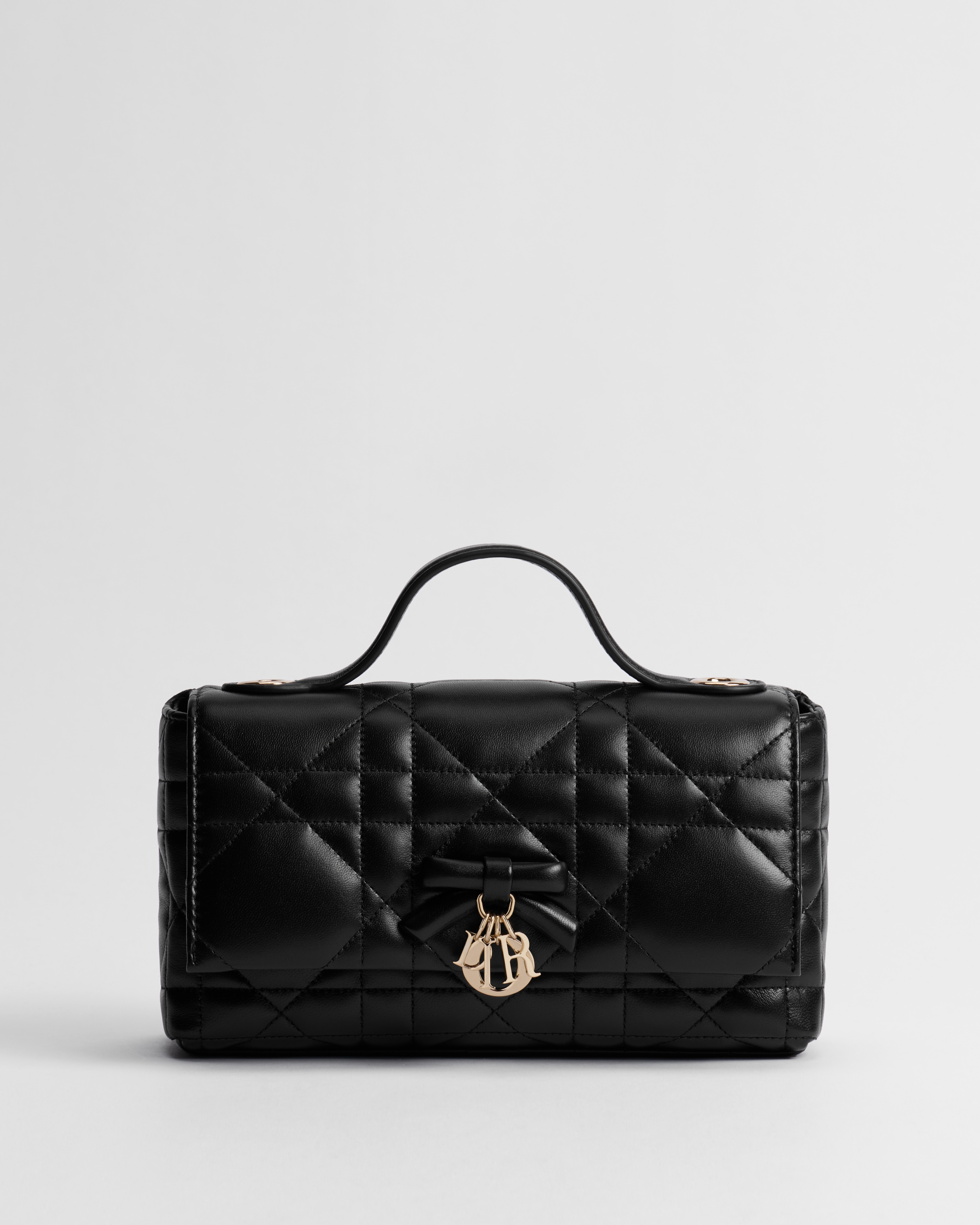 My Tender Dior Top Handle Mini Bag