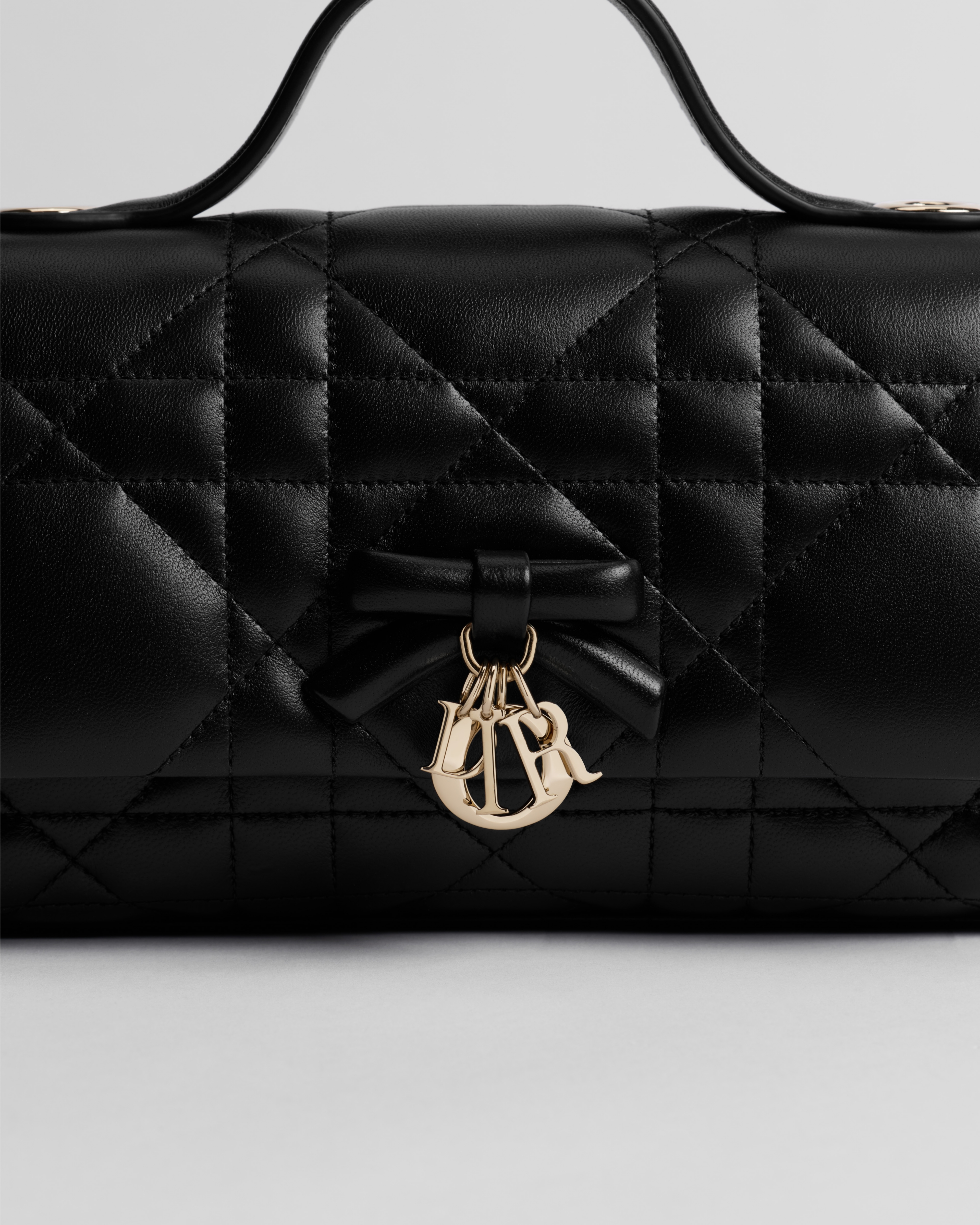My Tender Dior Top Handle Mini Bag