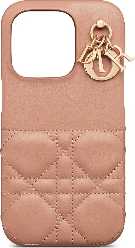 Dior saddle iphone case deals