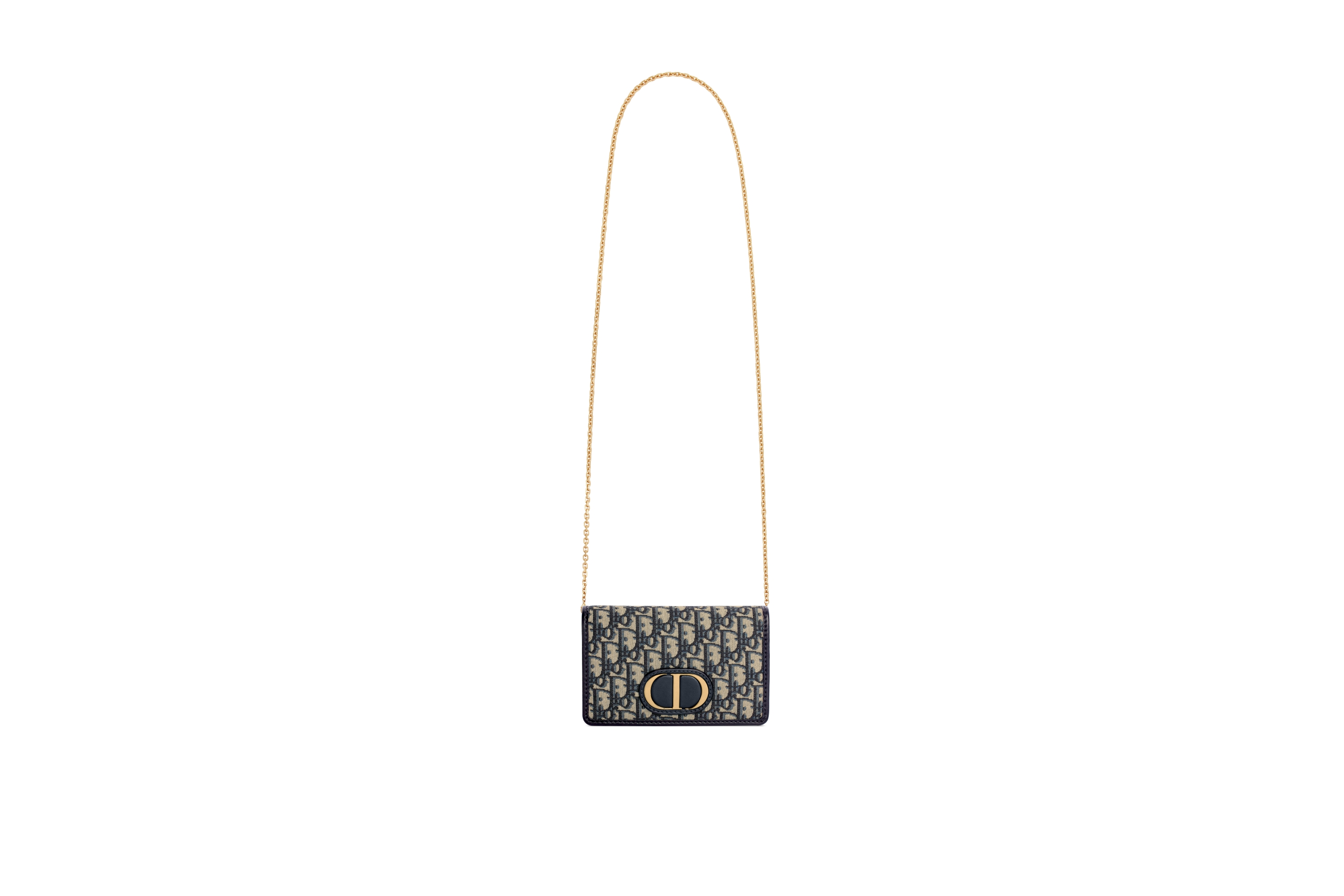2-in-1 30 Montaigne Pouch