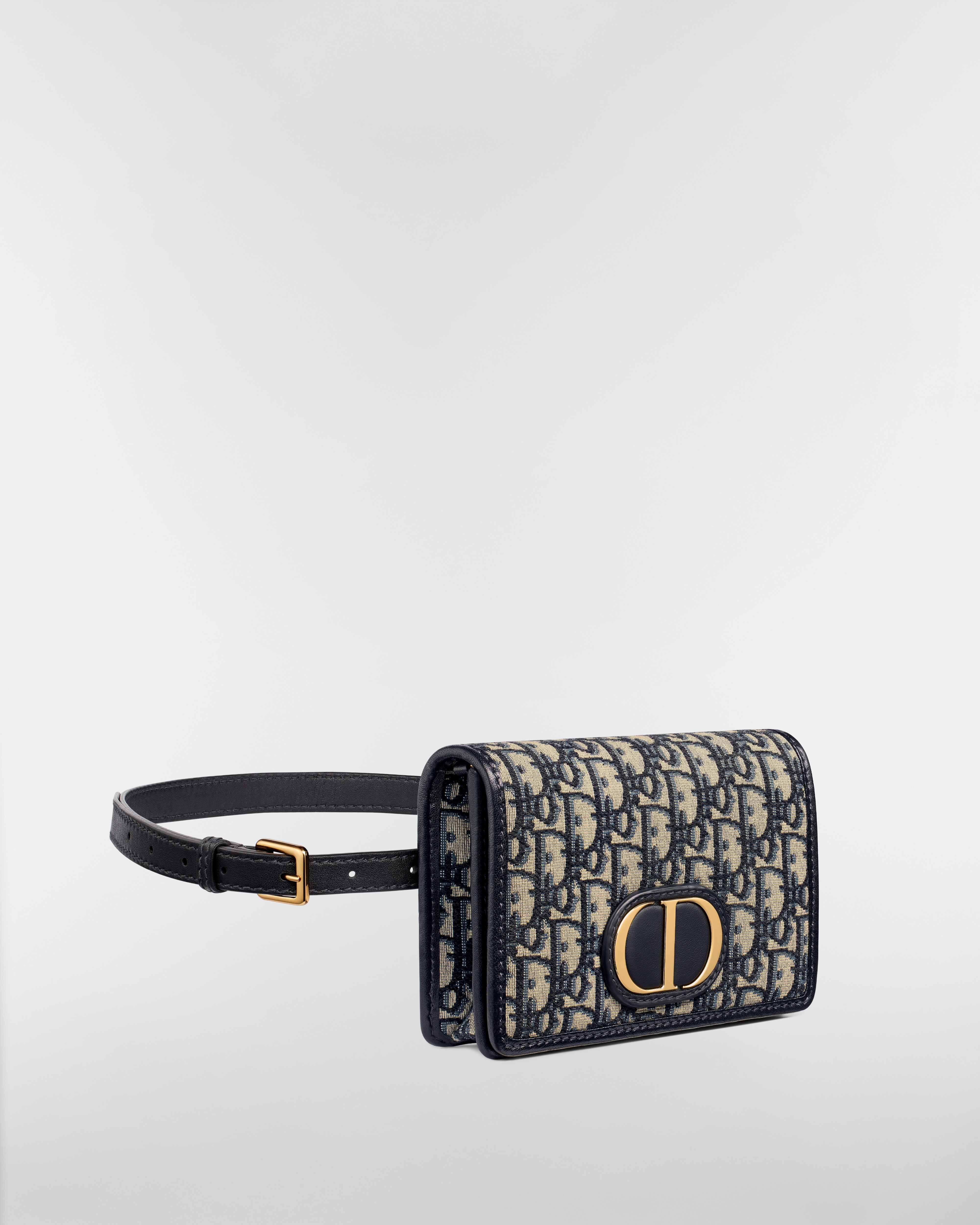 30 Montaigne 2-in-1-Pouch Dior Oblique Jacquard in Blau E03