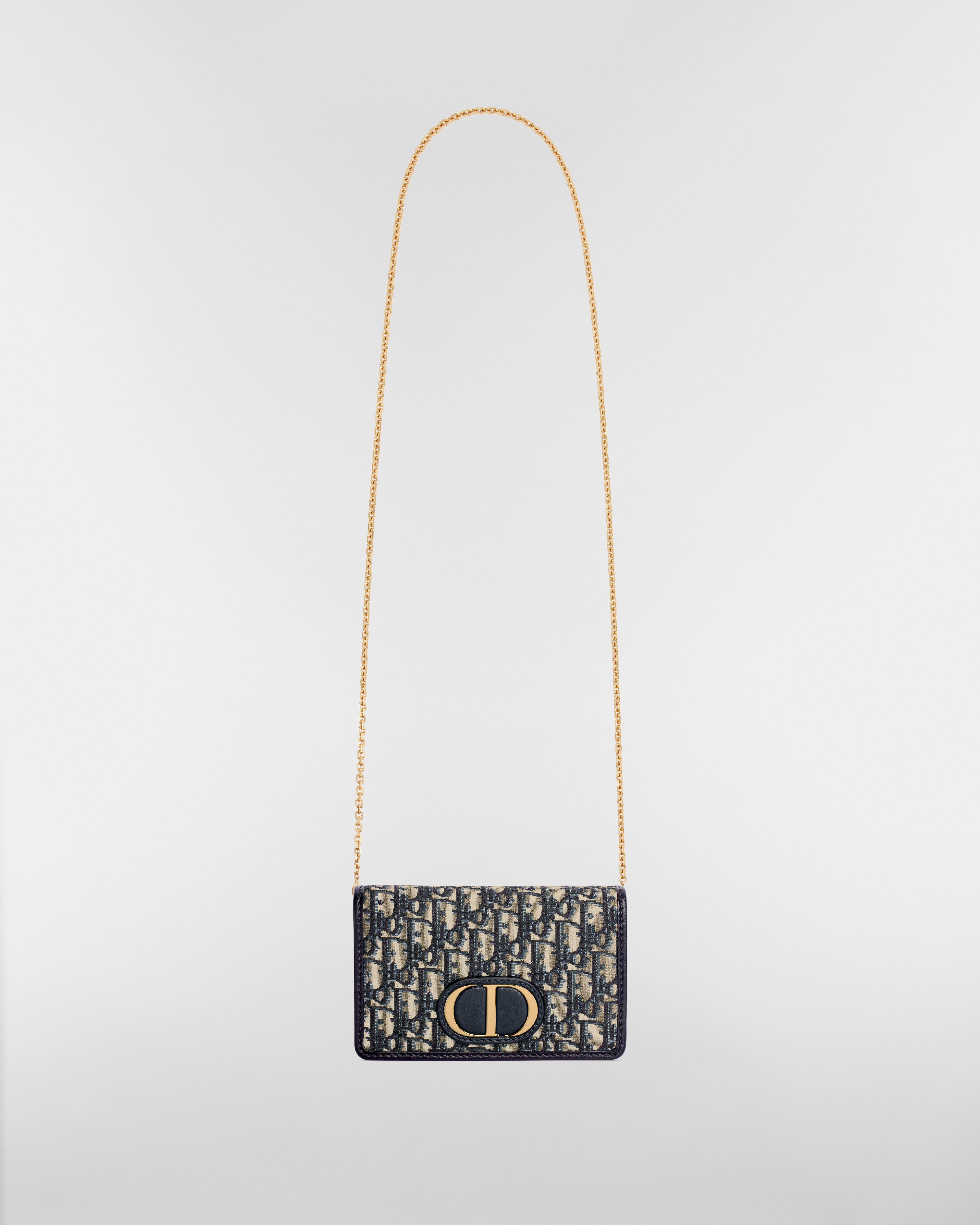 30 Montaigne 2-in-1-Pouch Dior Oblique Jacquard in Blau E07