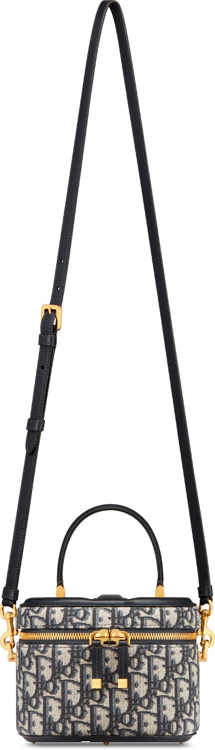 Dior vanity bag discount