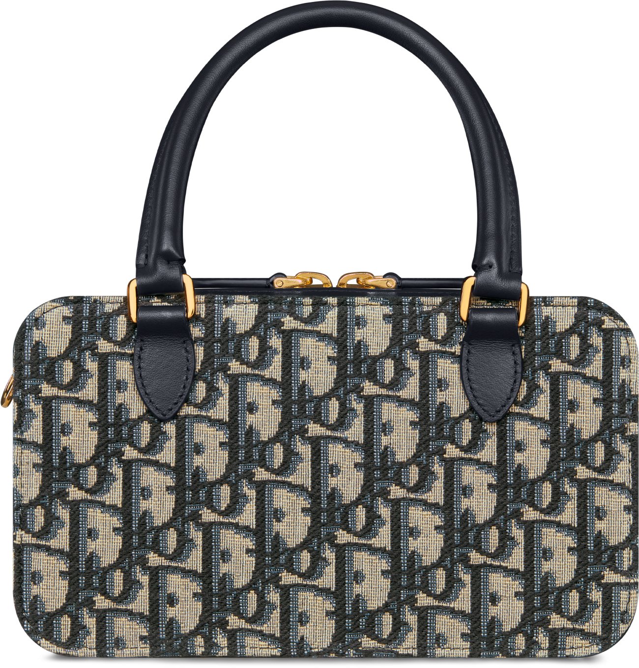 Dior bag oblique sales