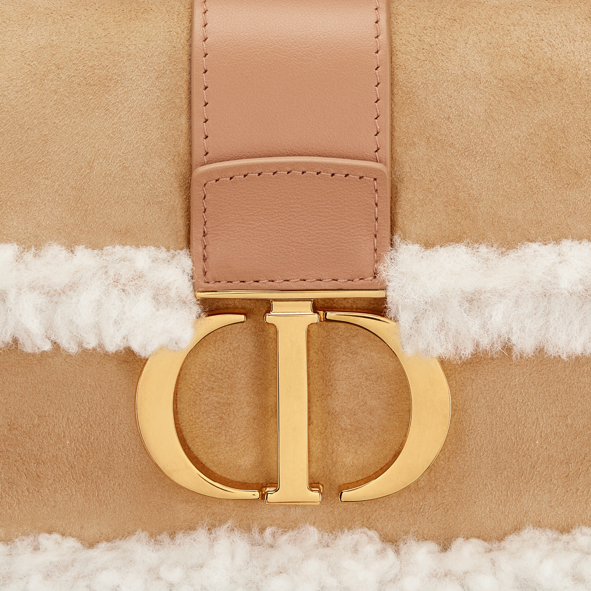 DiorAlps Miss Montaigne Mini Bag