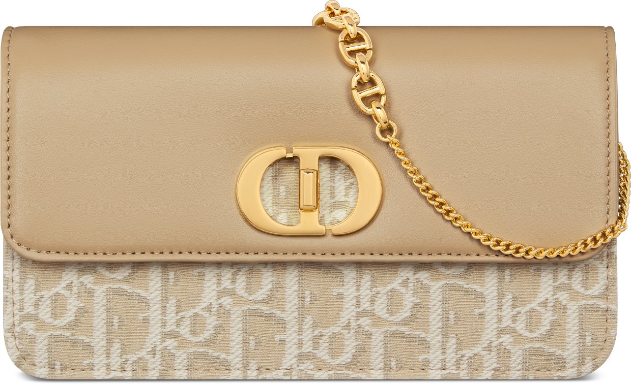 Miss Caro Pouch with Chain Front view Front view