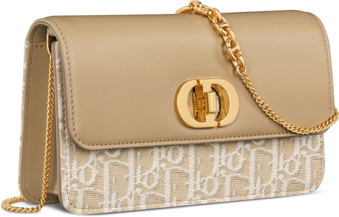 Miss Caro Pouch with Chain Three quarter closed view