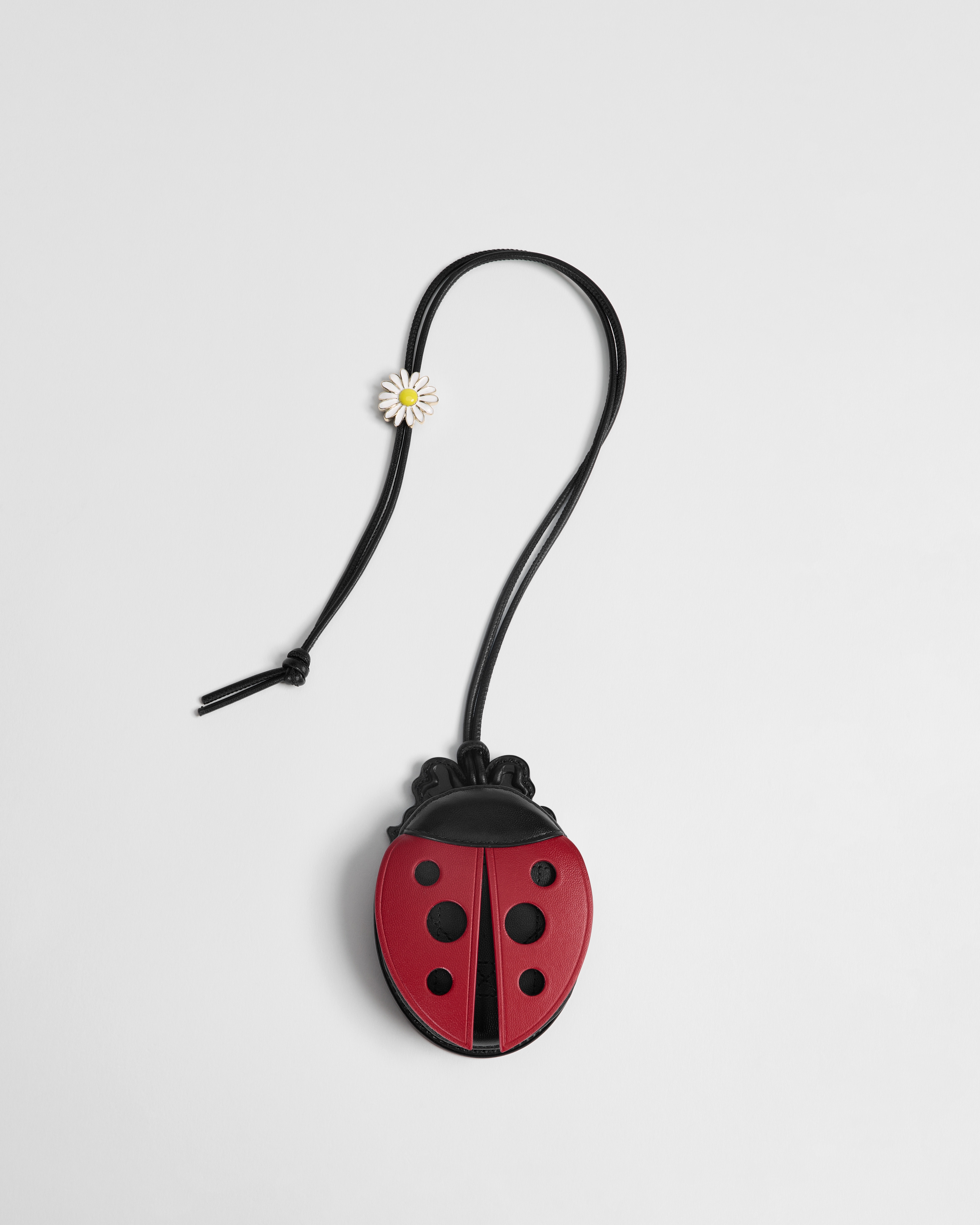 Dior Jardin Ladybug コード付き コインケース スムースカーフスキン E01