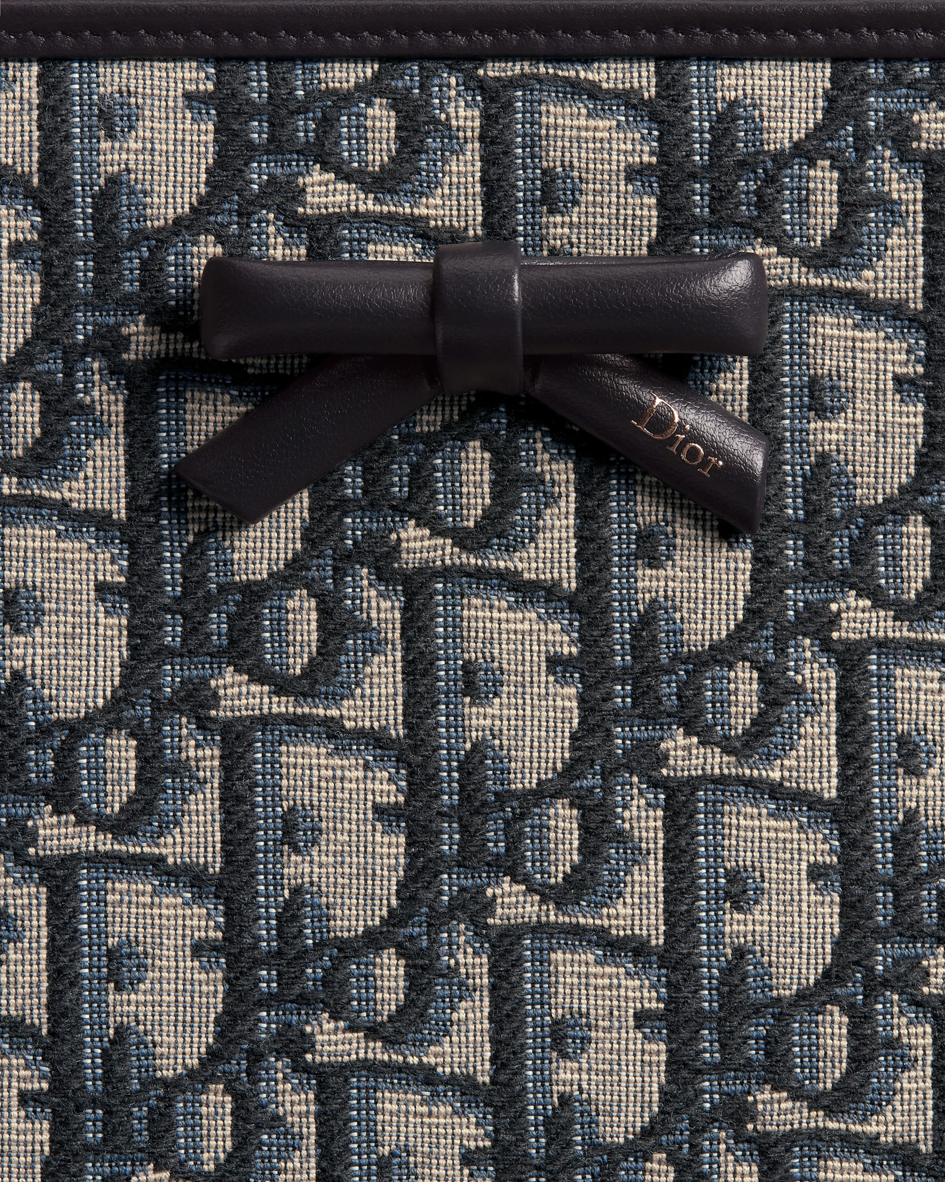 Dior Promenade Dea Pouch