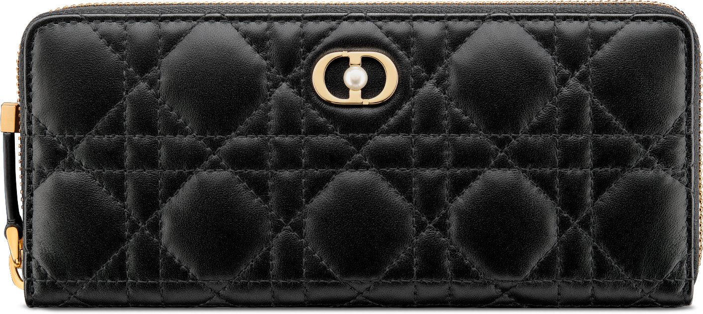 Dior Jolie Voyageur 薄款錢包 aria_frontView