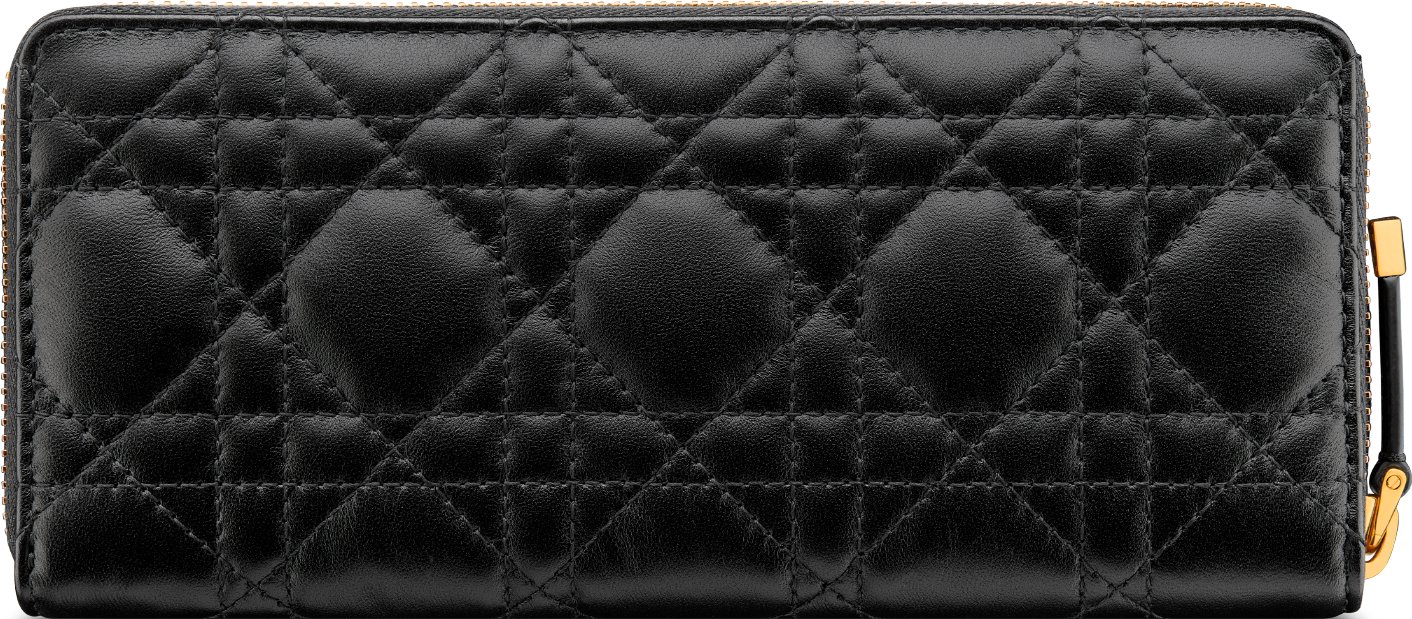 Dior Jolie Voyageur 薄款錢包 aria_backView