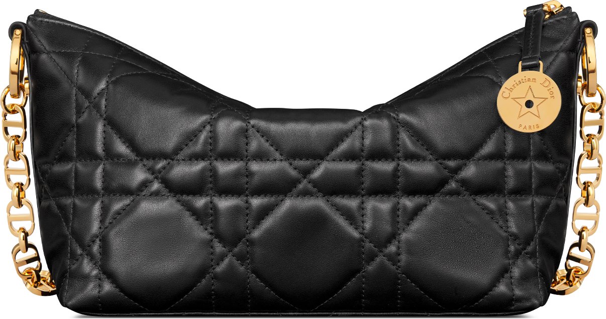 Dior star bag best sale