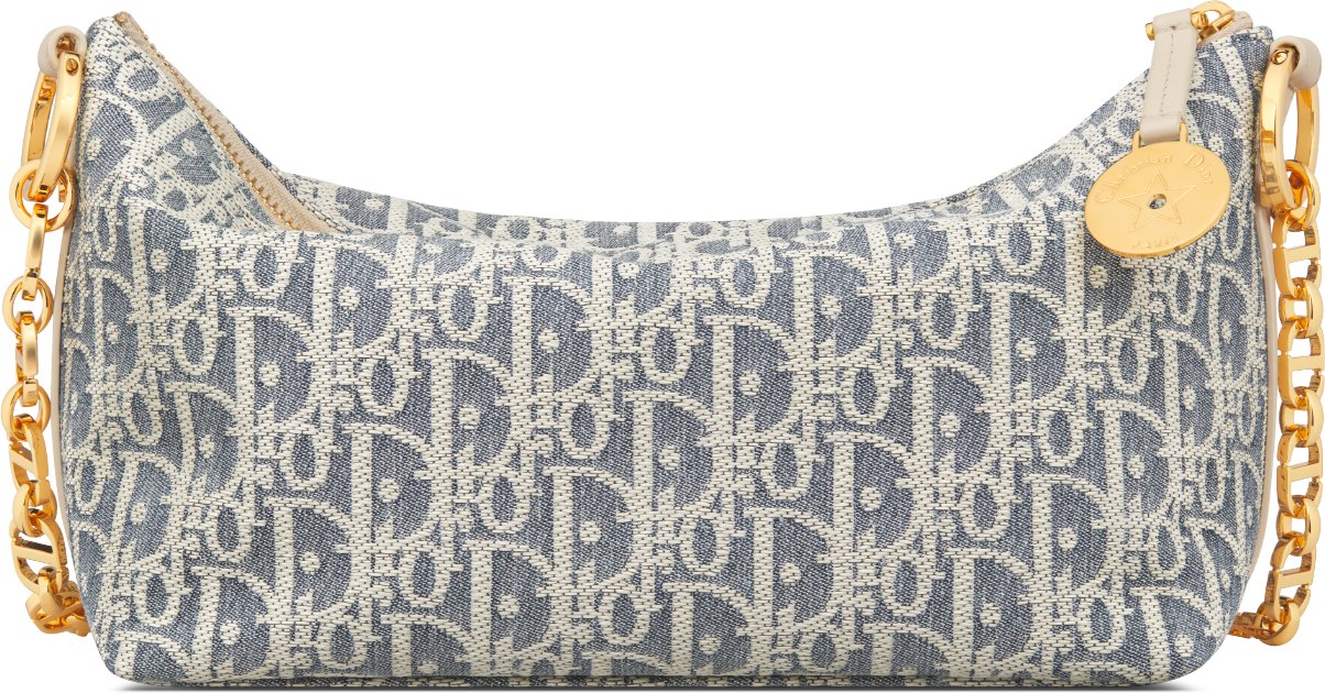 Diorstar Hobo Bag with Chain Back view