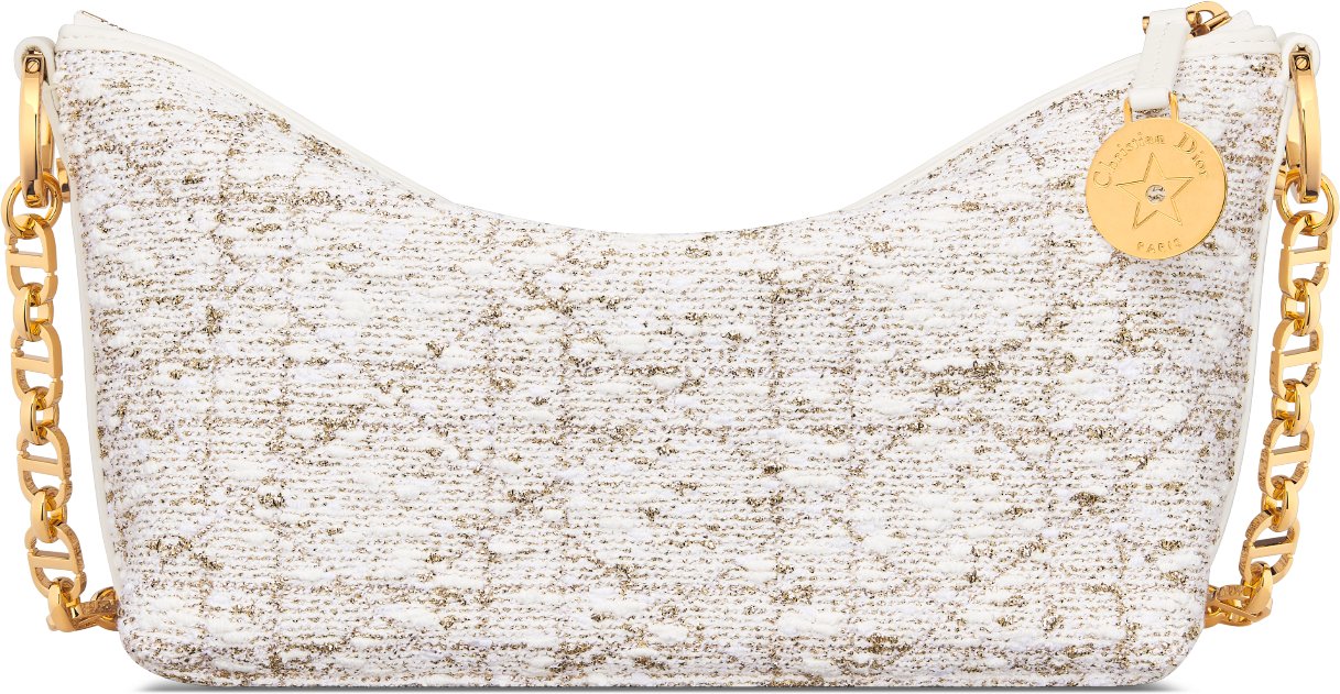 Dior Or Diorstar Hobo Bag with Chain Back view