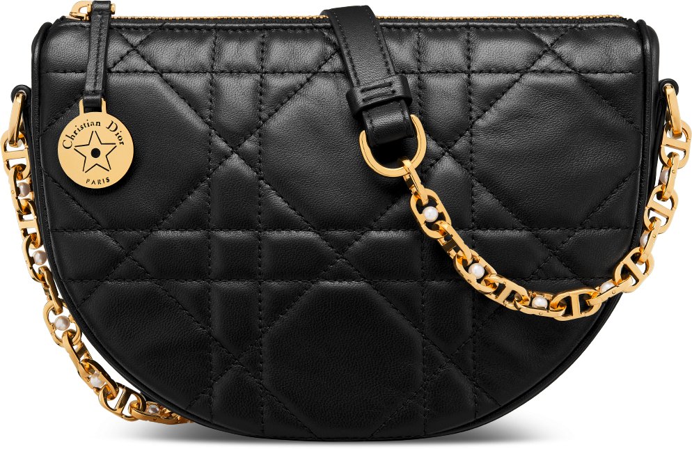 Dior half moon bag store