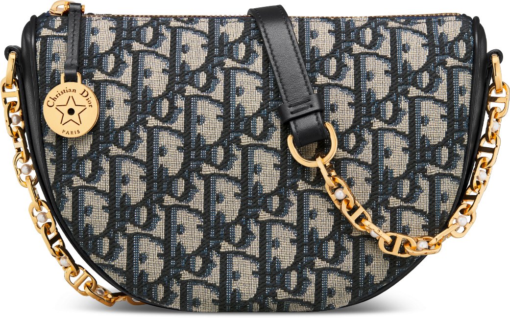 Dior star bag online