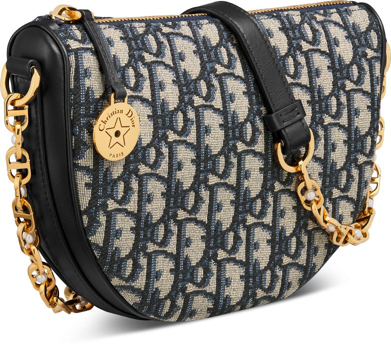 Dior oblique canvas clutch sale