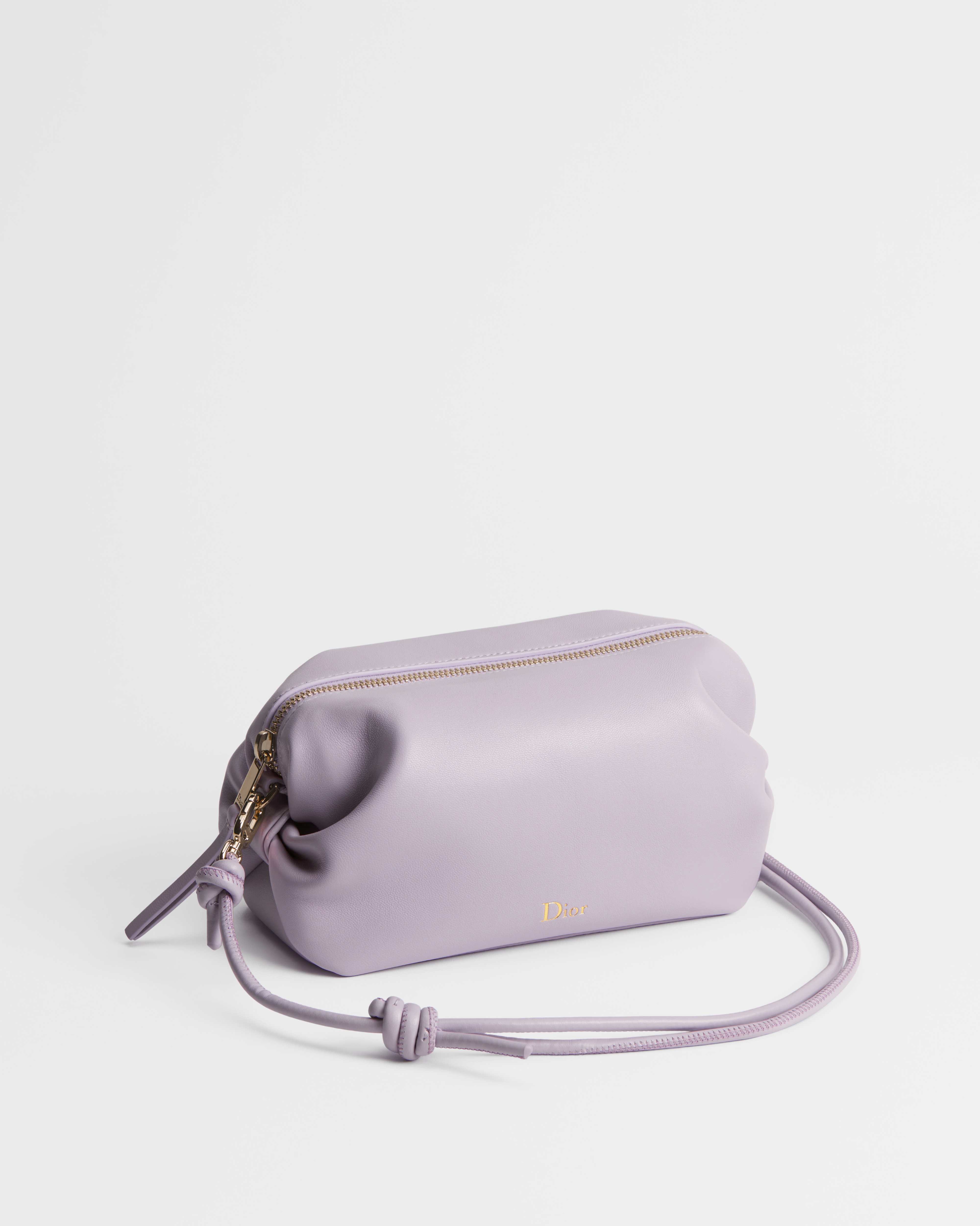 Dior Bow Pouch