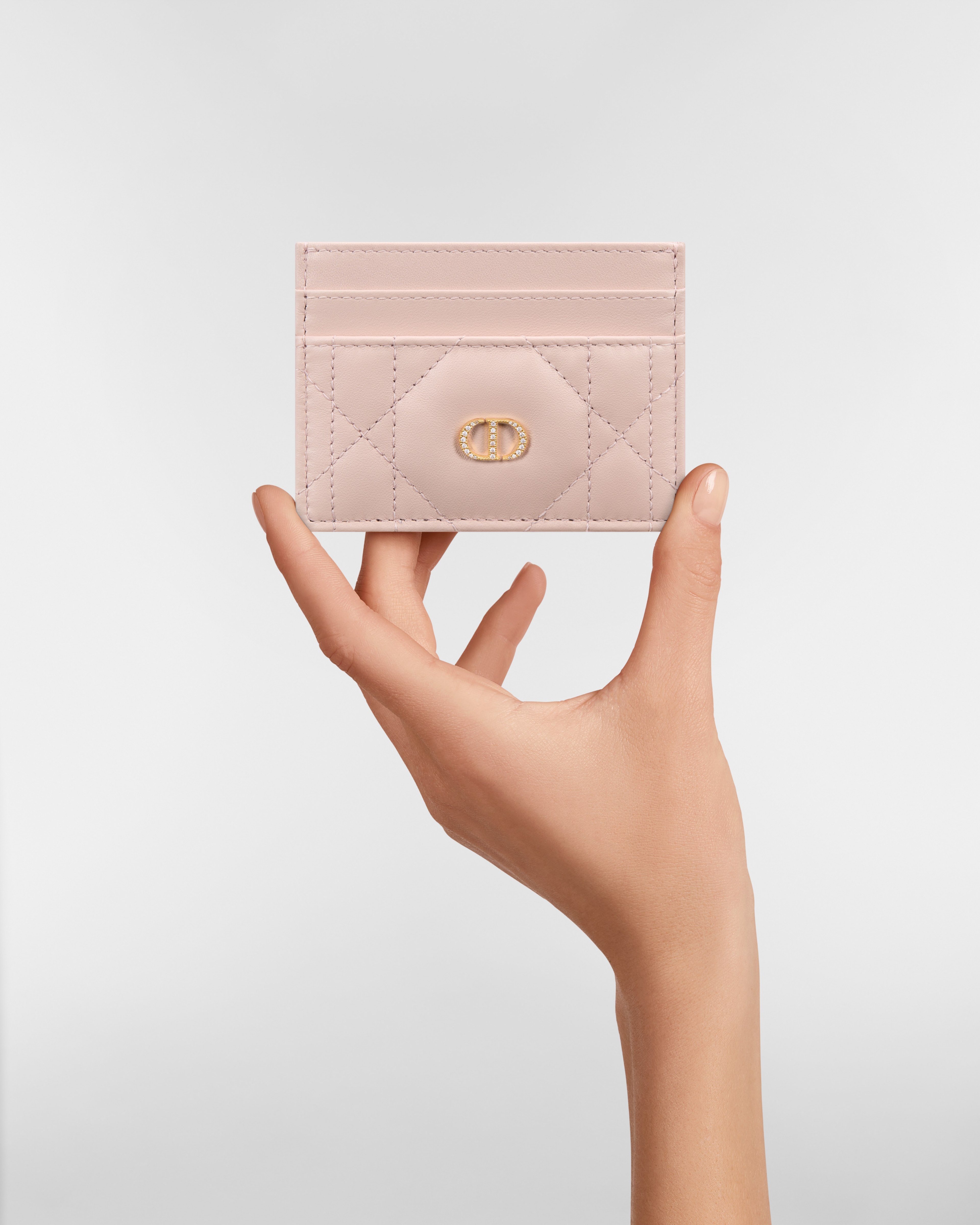Dior Caro Freesia Card Holder with Crystals