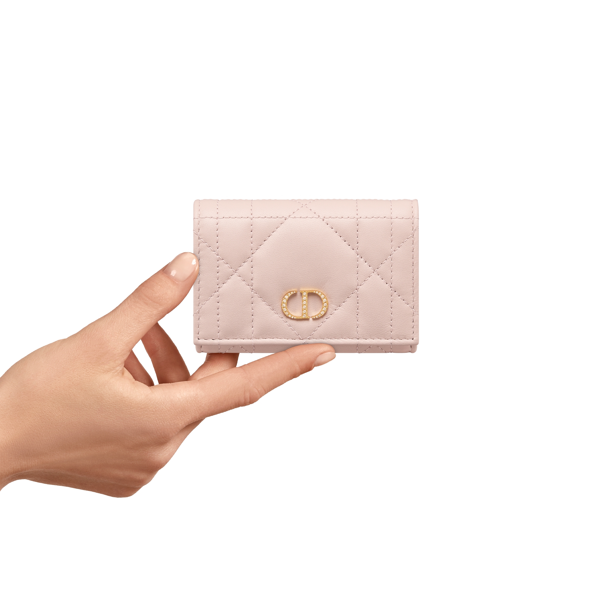 Dior Caro Glycine Wallet