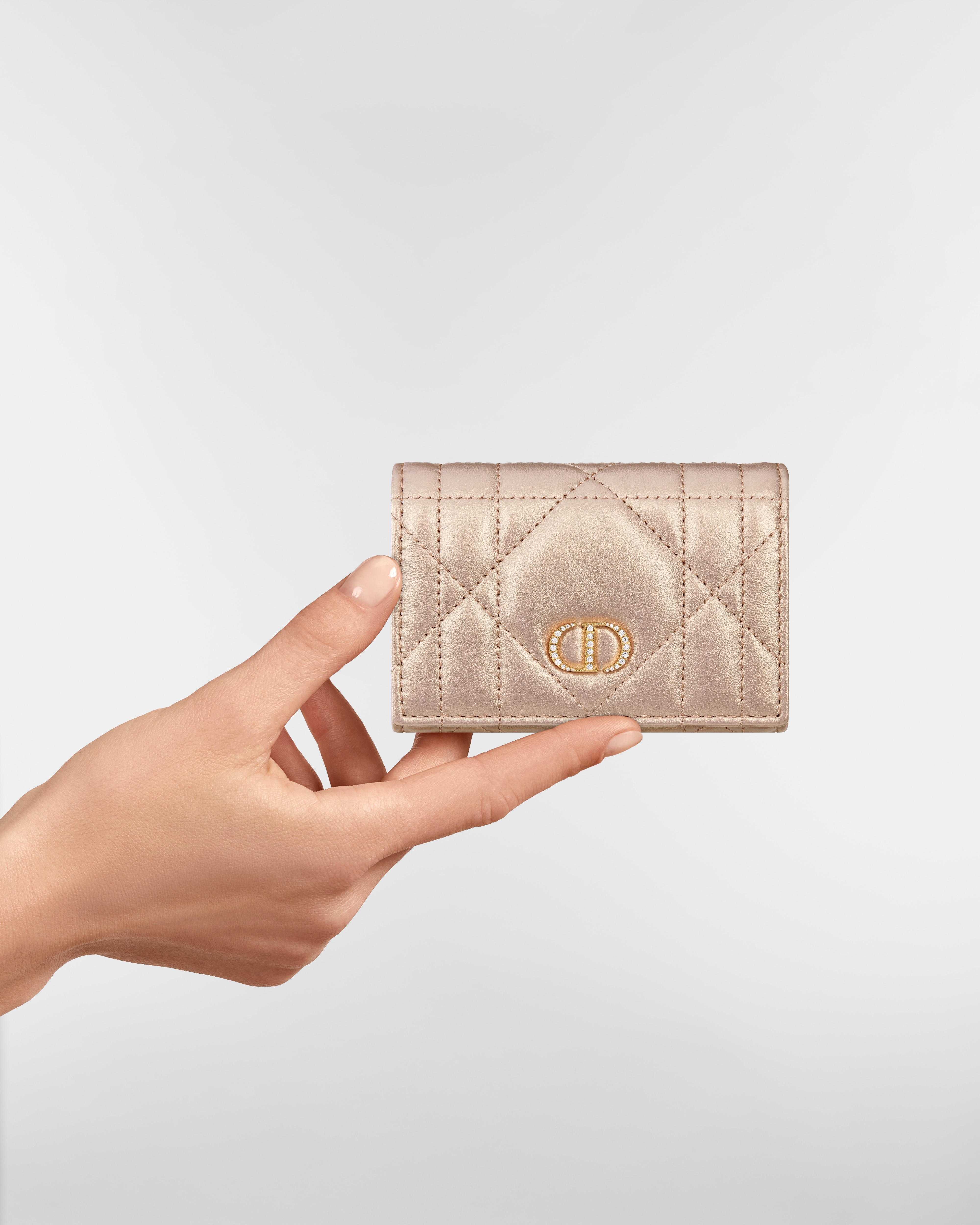 Dior Caro Glycine ウォレット マクロカナージュ ラムスキン E11