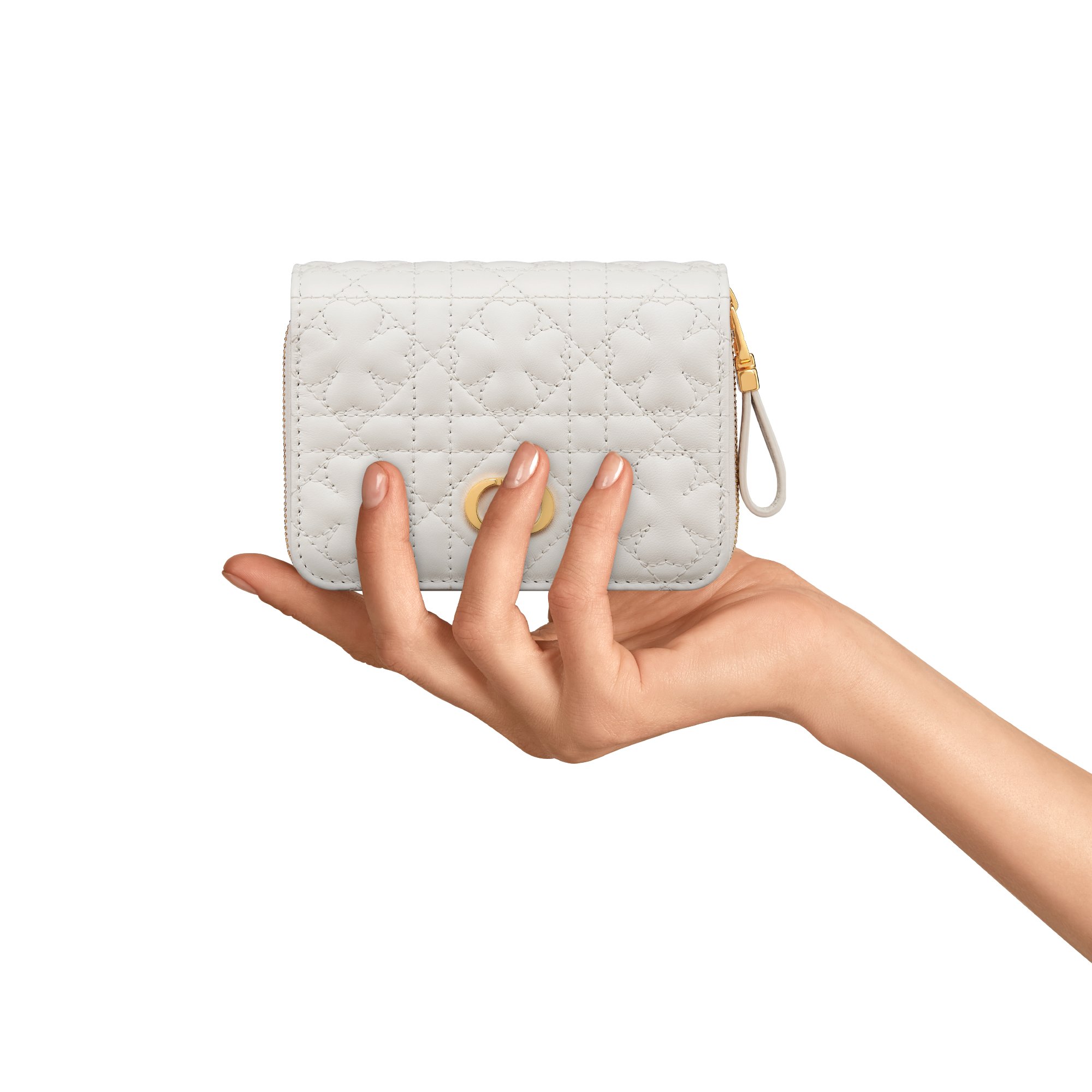 【日本限定】Dior Caro Scarlet ウォレット