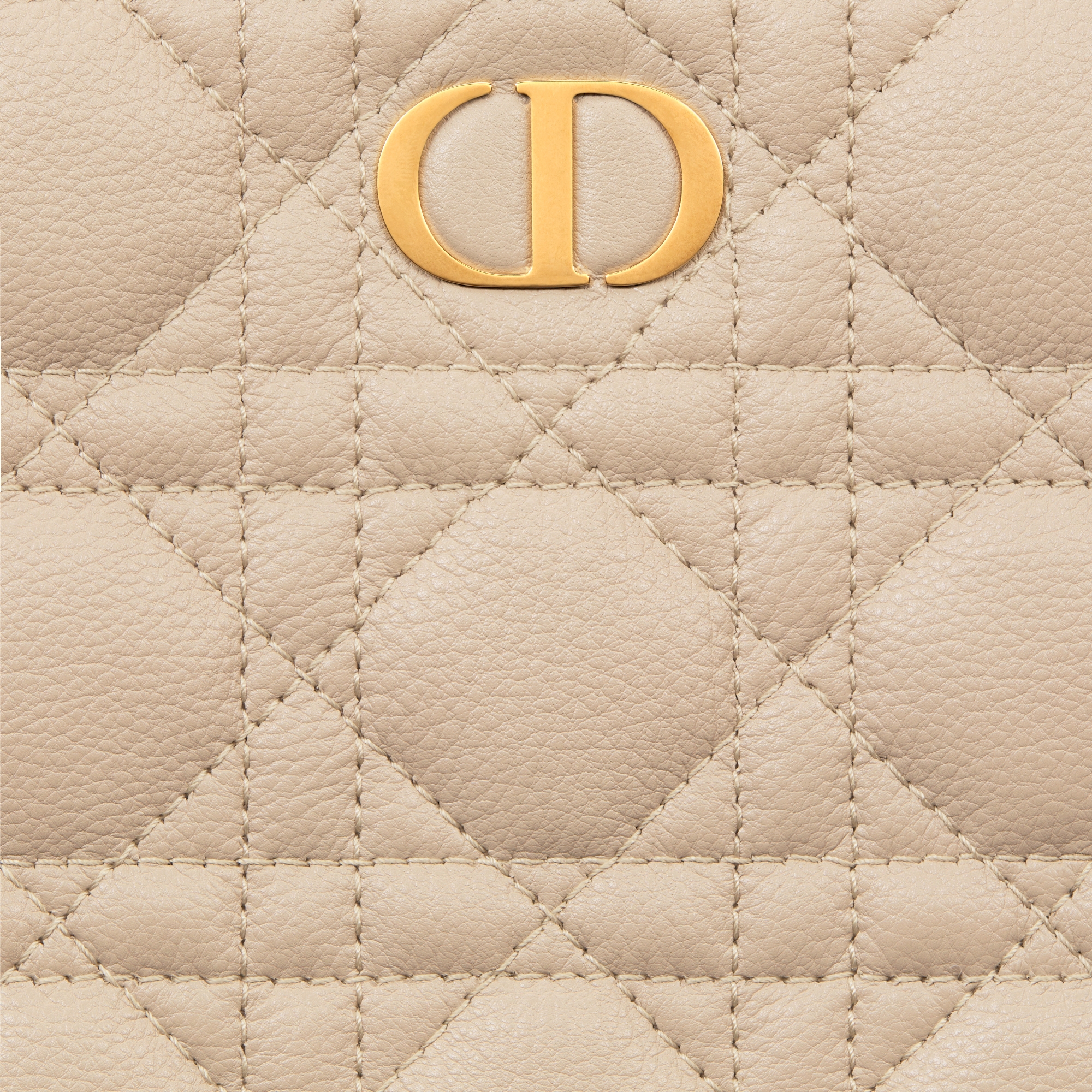 Large Dior Caro Daily Pouch