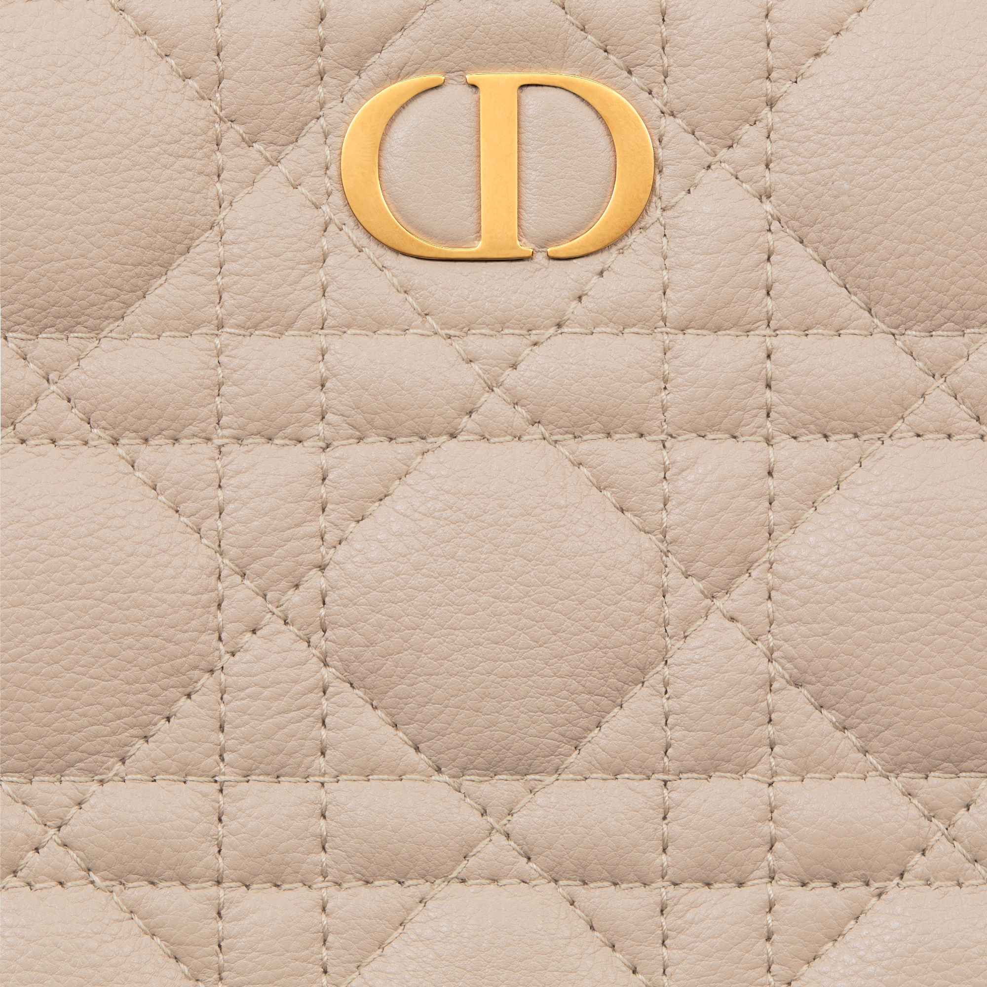 Large Dior Caro Daily Pouch