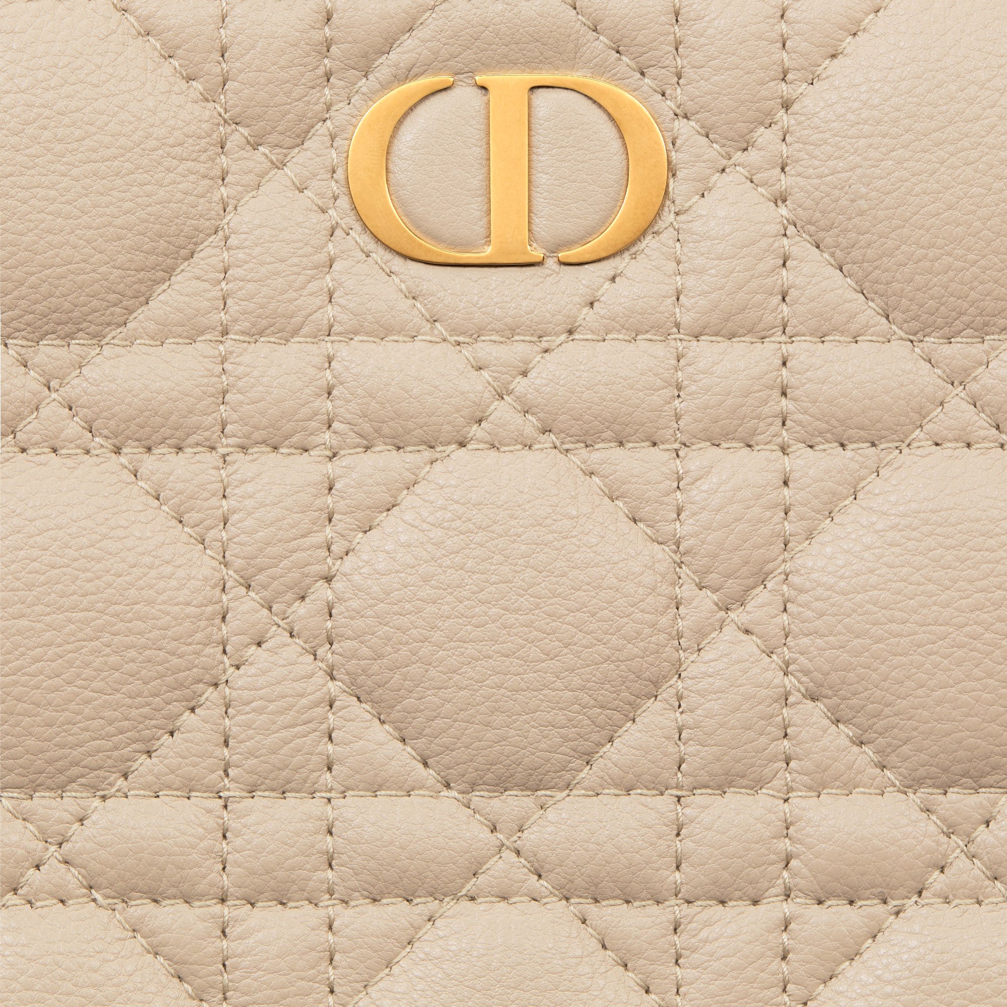 Large Dior Caro Daily Pouch Detailed view