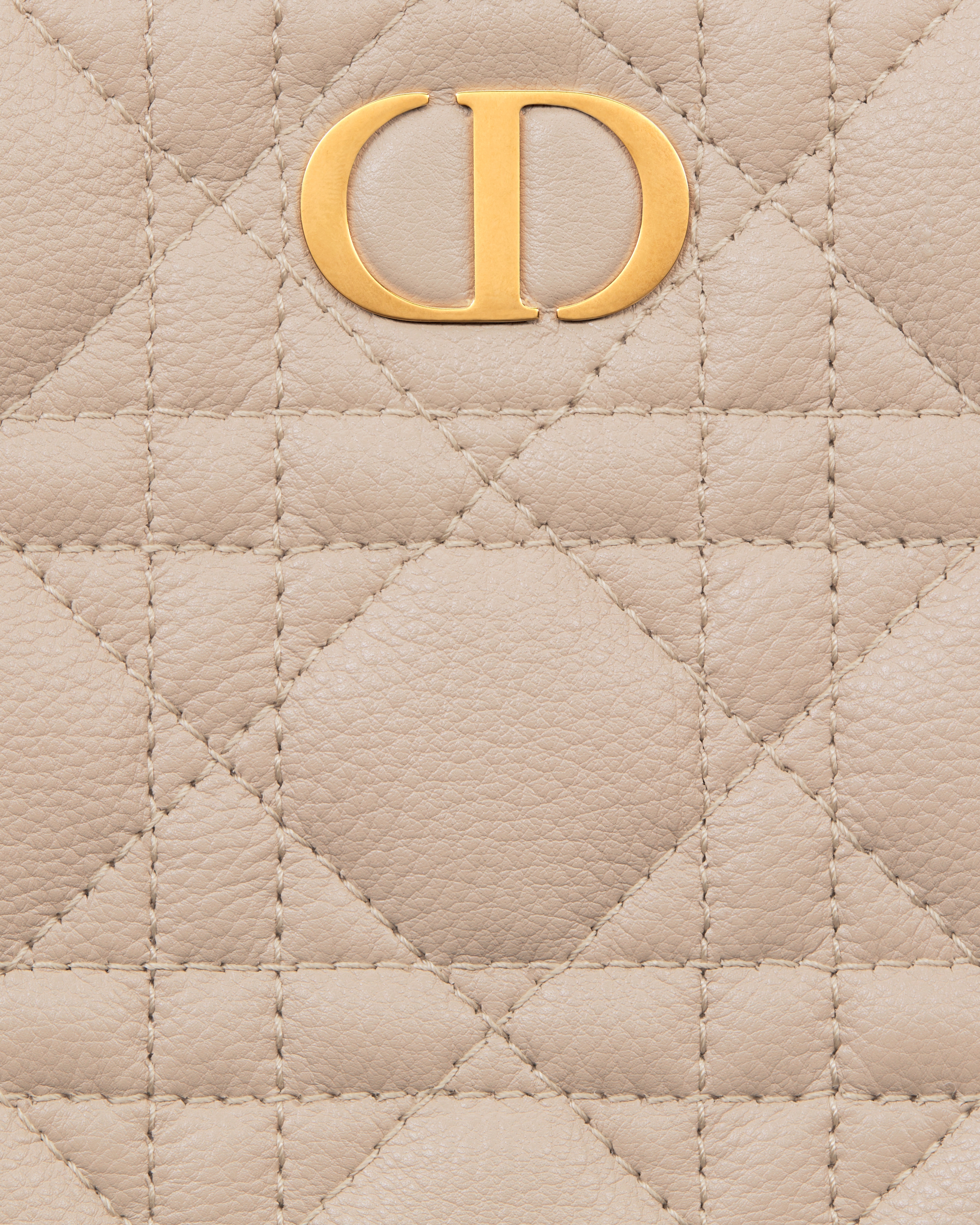 Dior Caro 라지 데일리 파우치 파우더 베이지 서플 까나쥬 송아지 가죽 E09