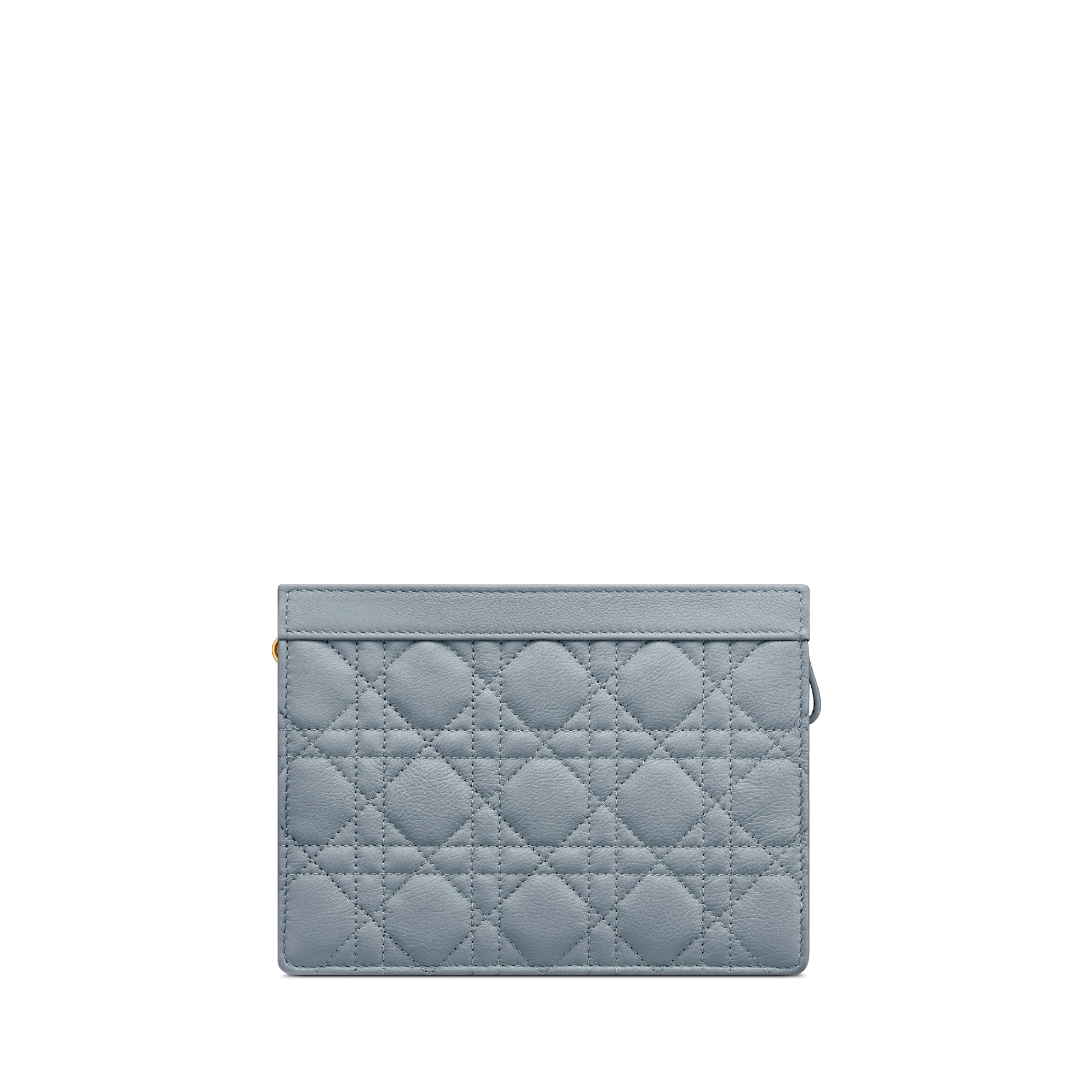 【美品】Dior Caro Every Dior Christian Dior Caro Every Dior Pouch – The Foxy Shopper