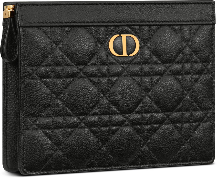 Dior Caro Every Dior Pouch
