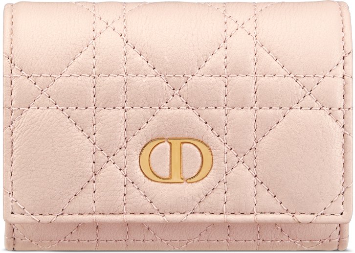 Dior Caro Glycine 銀包 aria_frontView