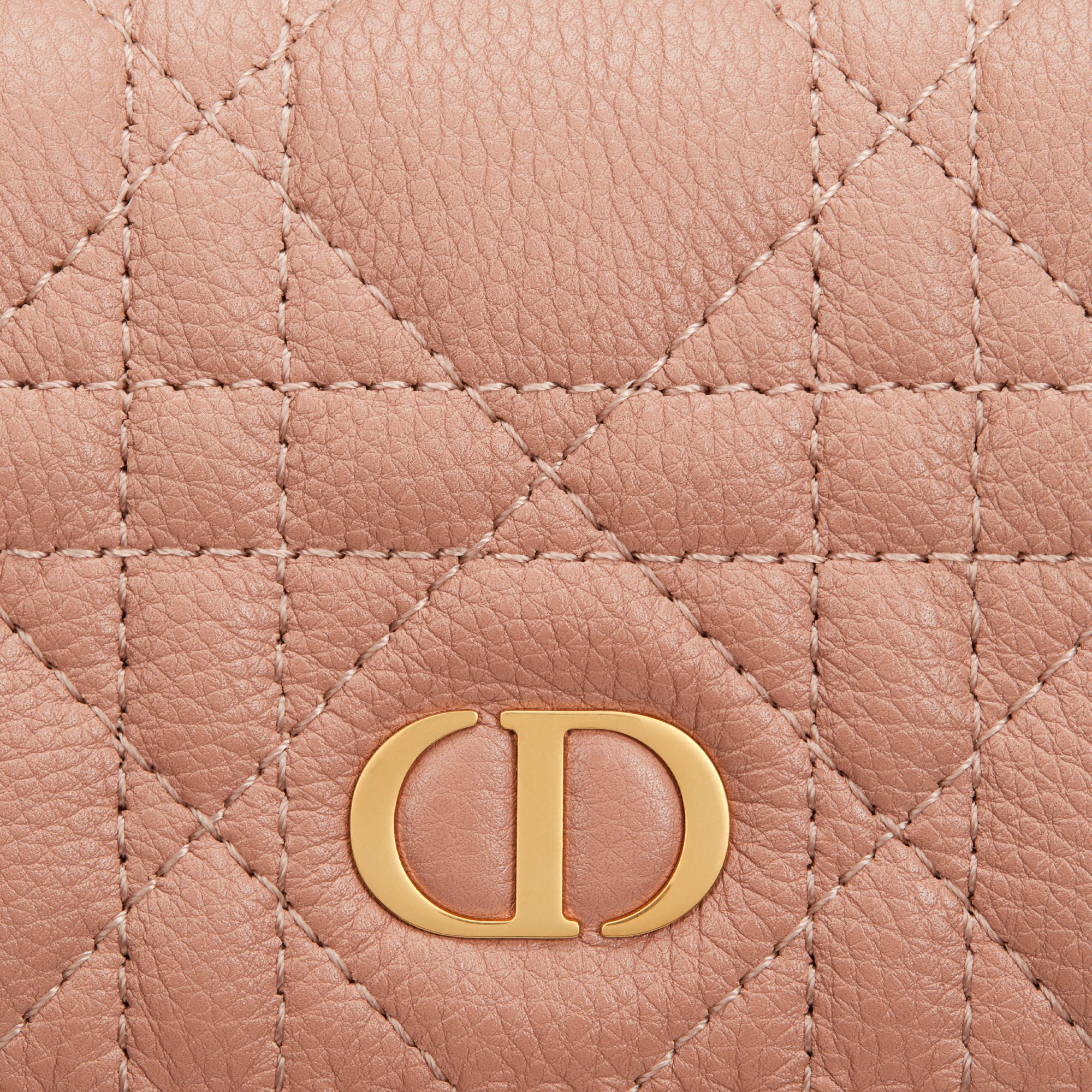 Dior Caro Glycine 銀包 aria_detailedView