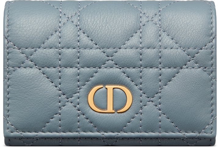 Dior Caro Glycine 銀包 aria_frontView