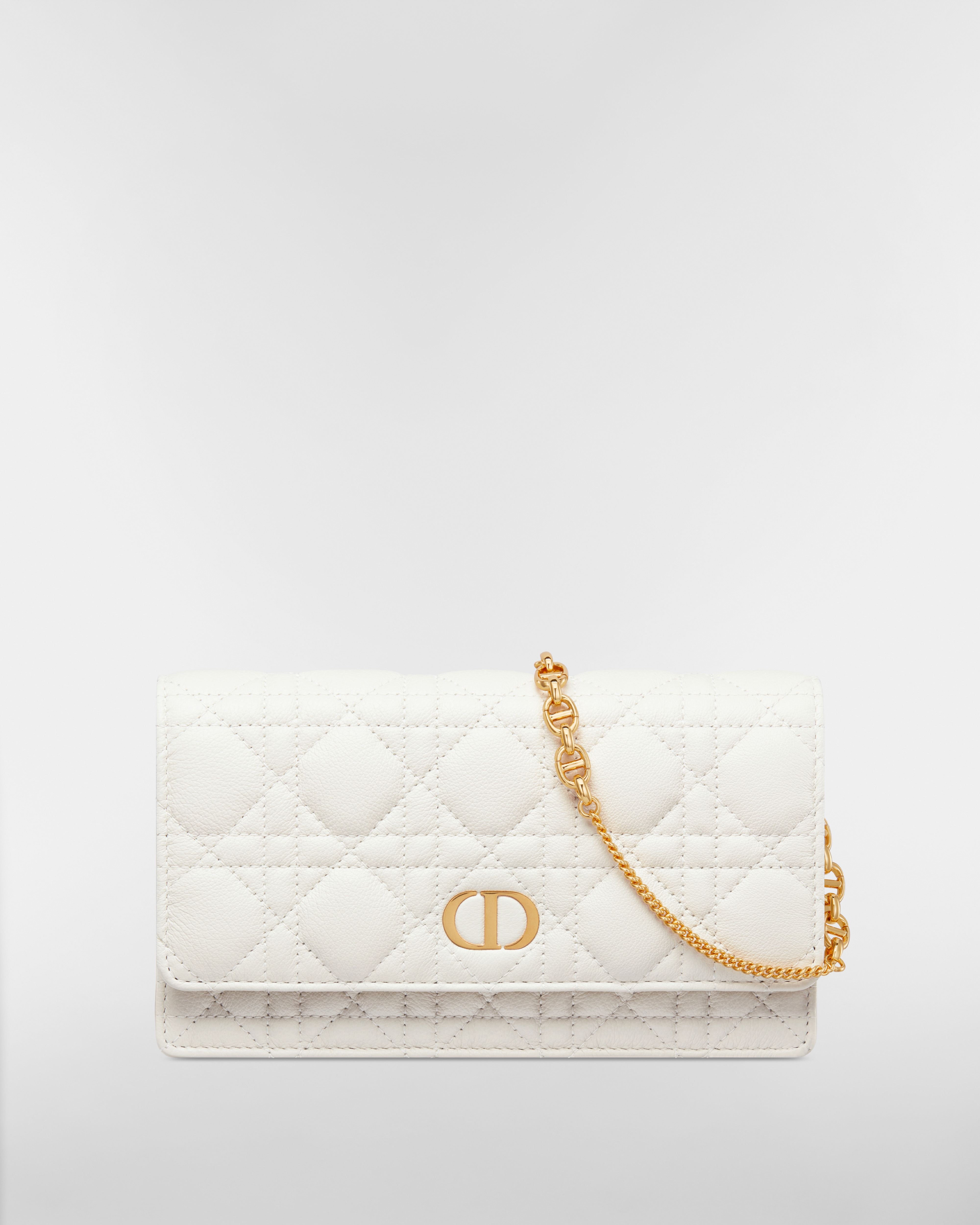 Dior Caro チェーンポーチ カナージュ カーフスキン E01