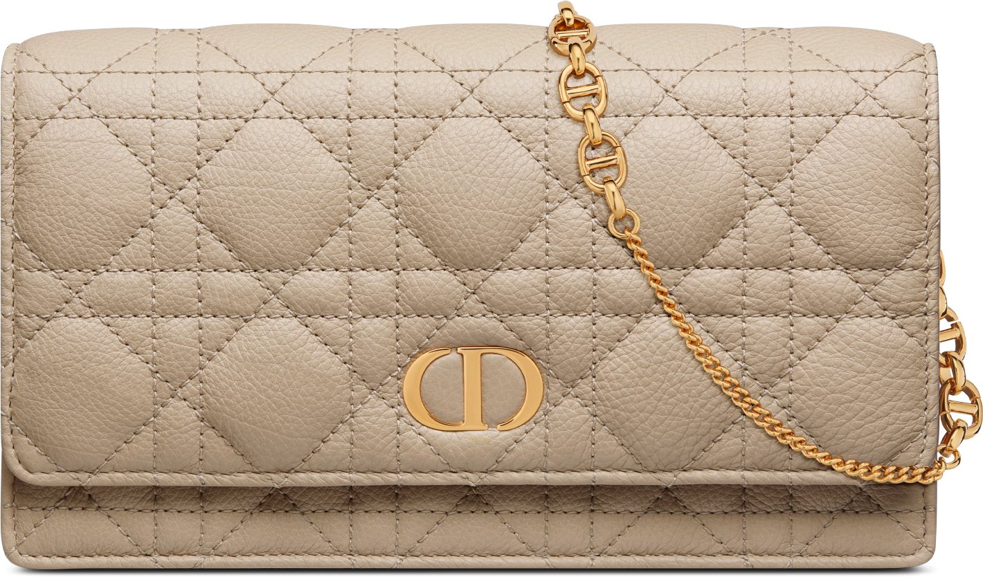 Dior Caro Pouch with Chain Front view