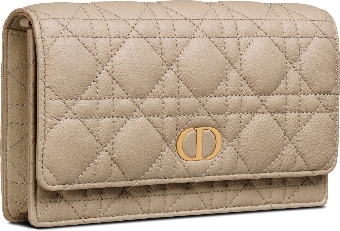 Dior cannage wallet on chain deals