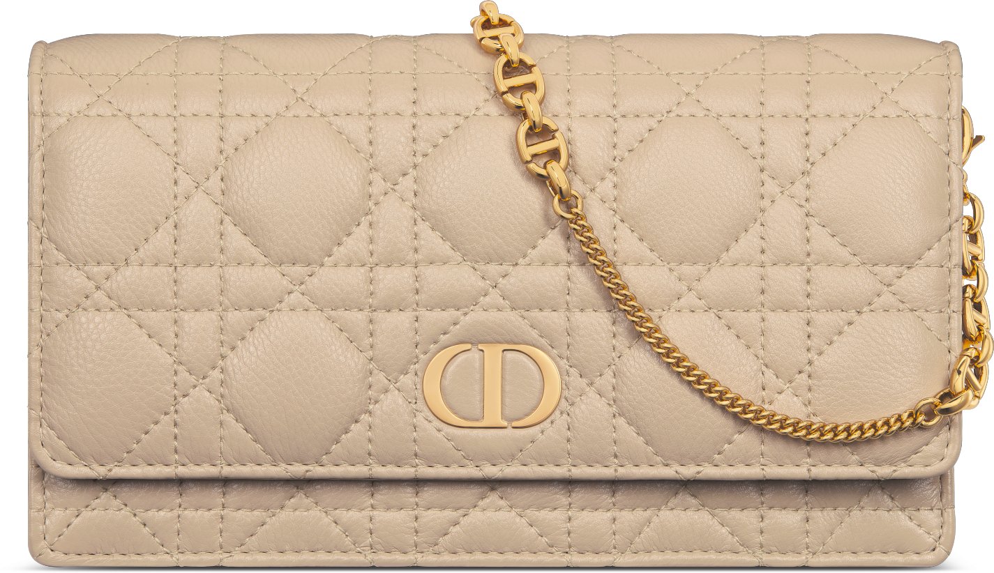 Dior Caro Pouch with Chain Front view