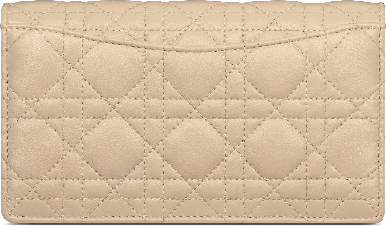 Dior Caro Pouch with Chain Back view