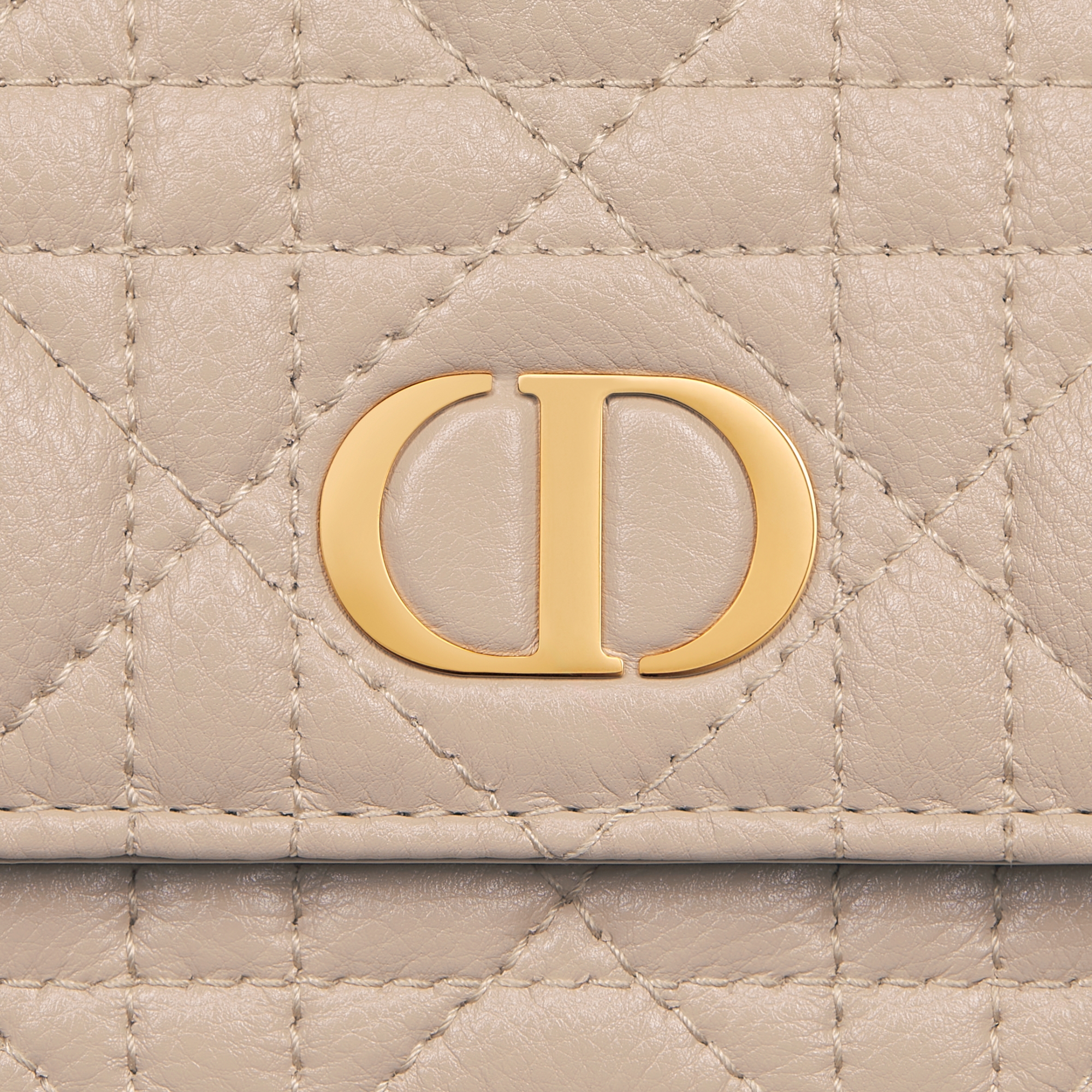 Dior Caro Pouch with Chain