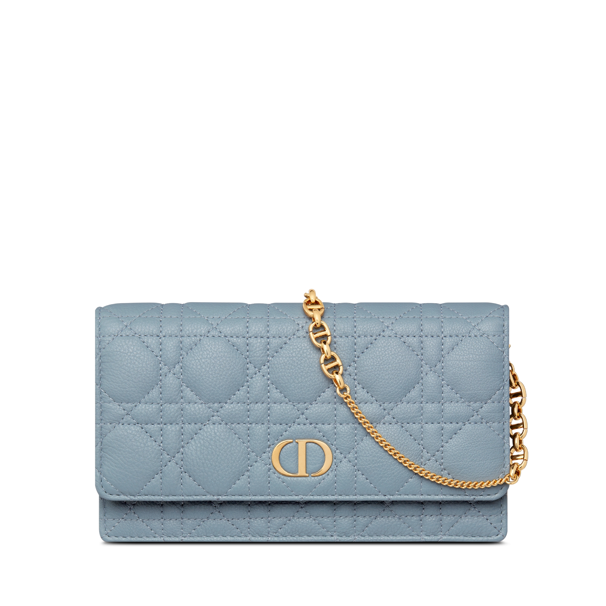 Dior Caro Every Dior ポーチ Christian Dior Caro Every Dior Pouch – The Foxy Shopper