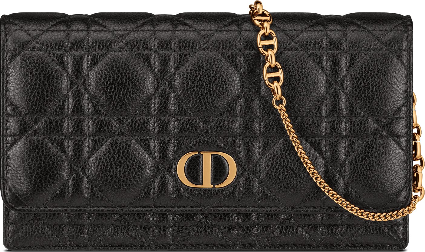 Dior Caro Pouch with Chain Front view