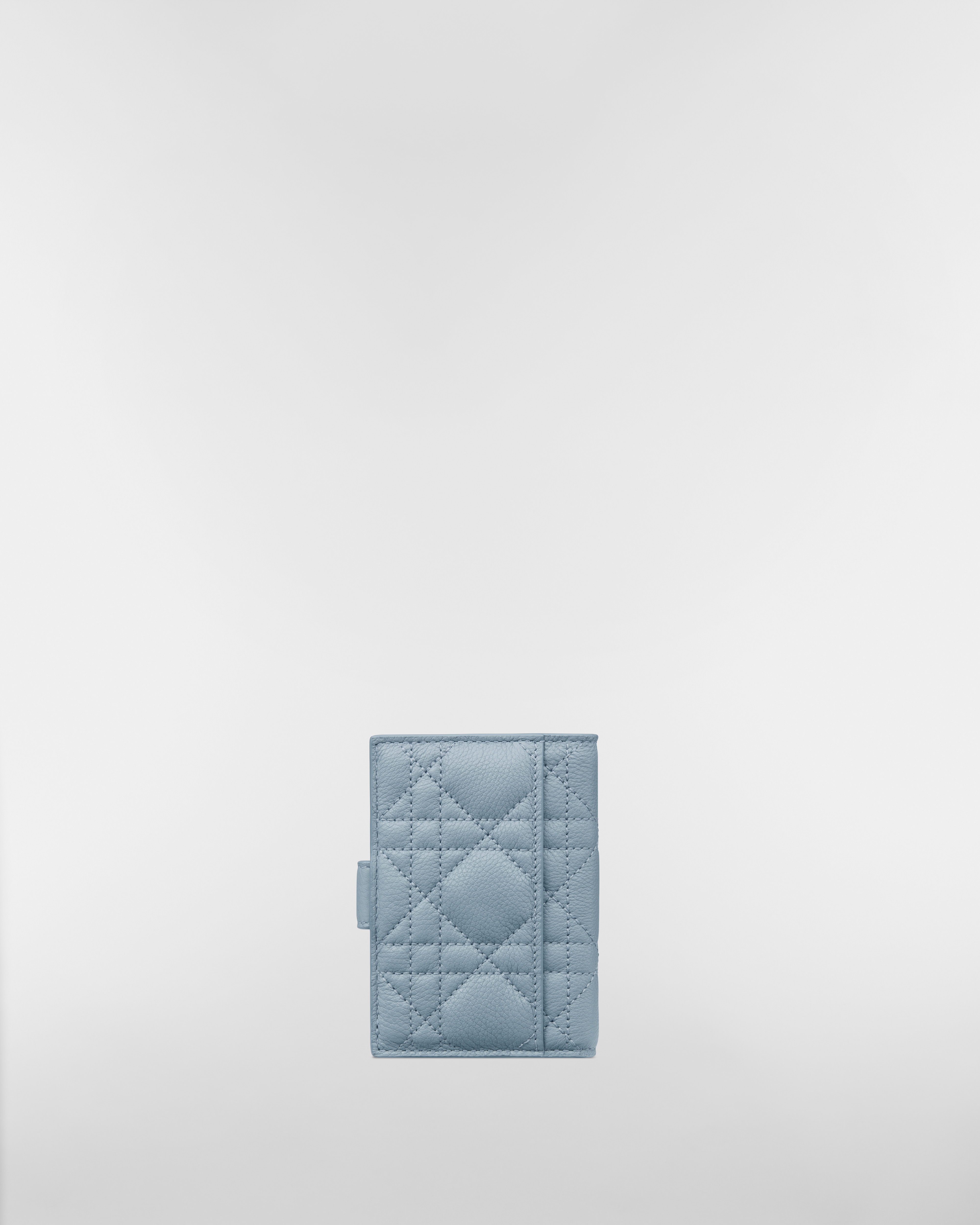 Dior Caro Dandelion カードホルダー カナージュ カーフスキン E08