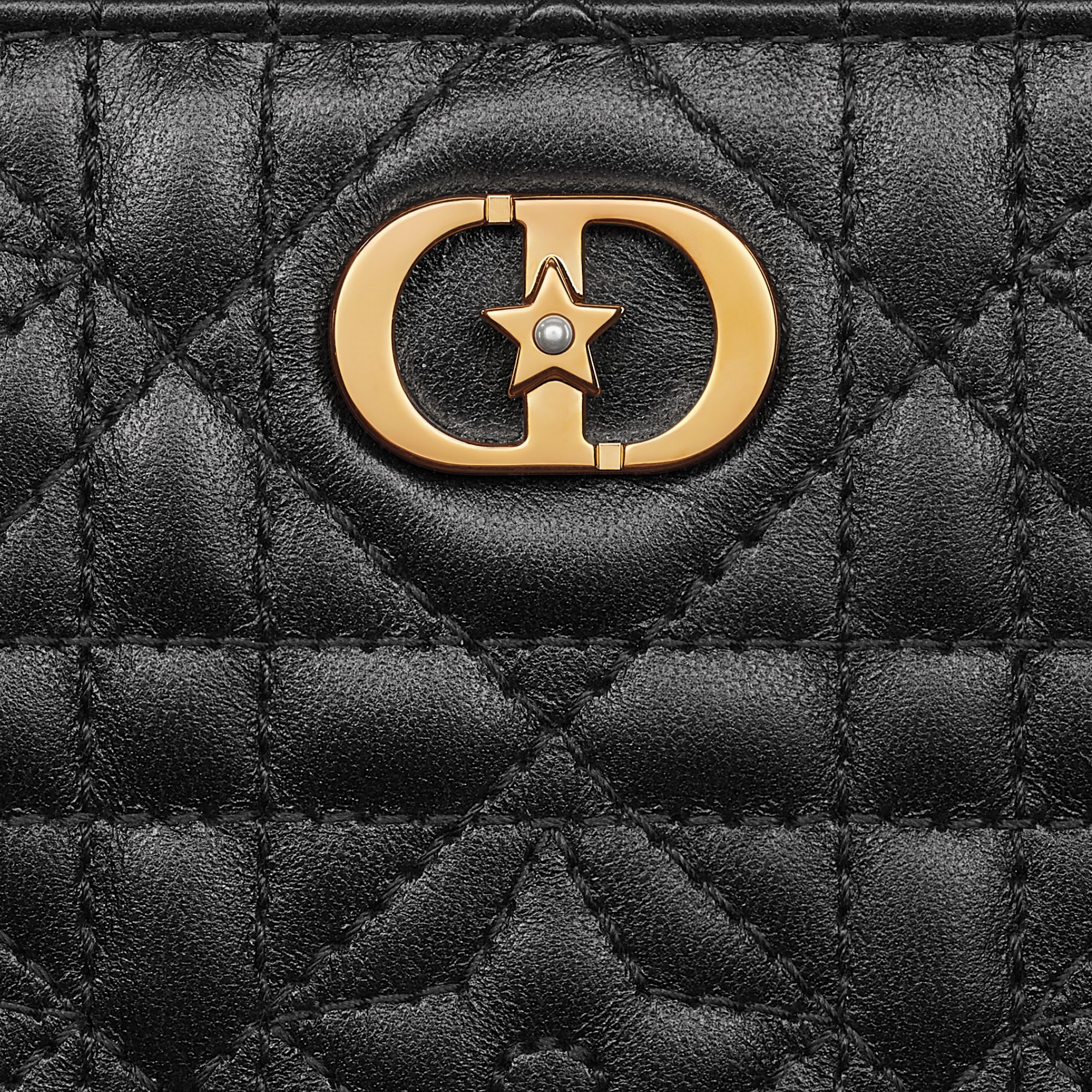 Dior Caro Dahlia Wallet Detailed view